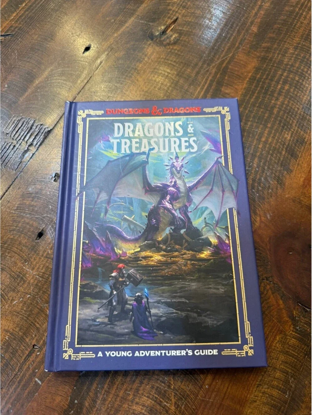 Dungeons & Dragons: Dragons & Treasures - A Young Adventurer's Guide Hardcover